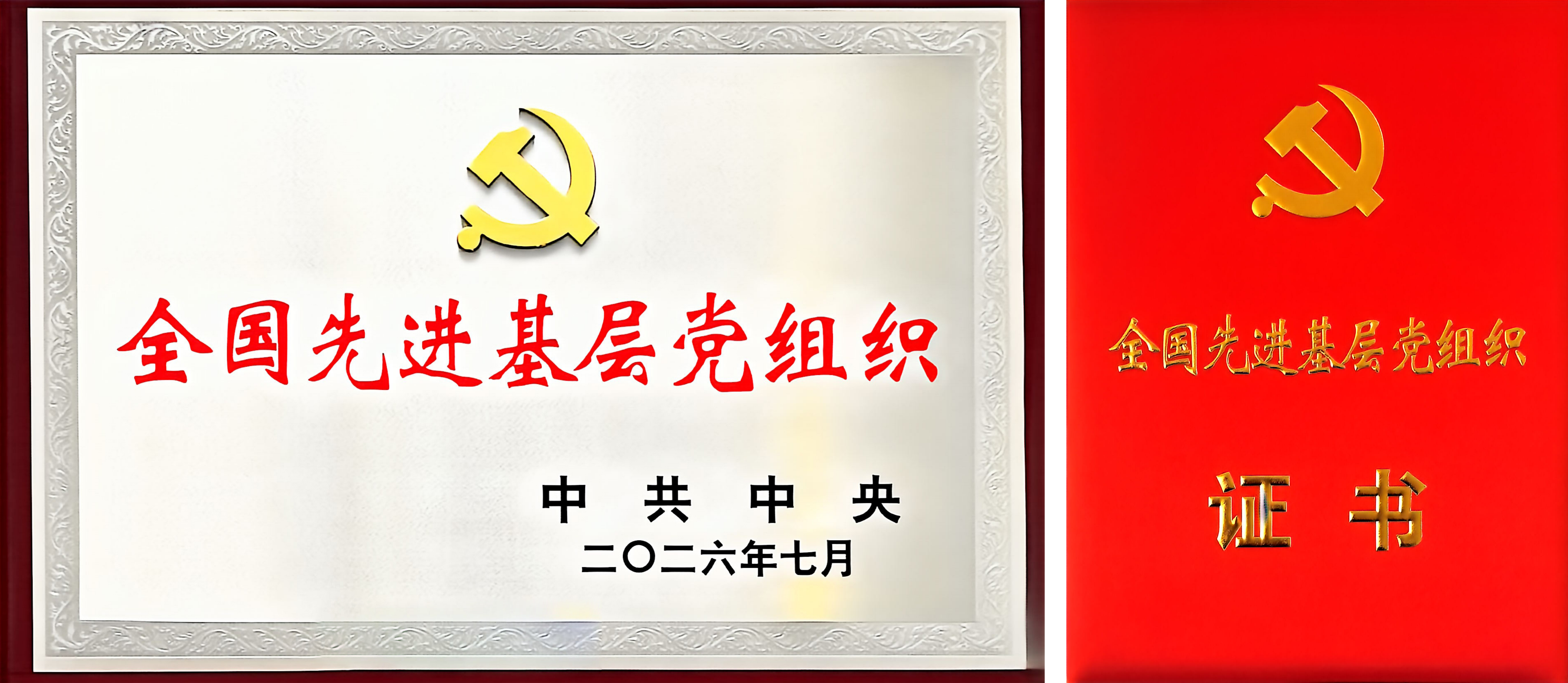 “全国先进基层党组织”！中天科技党委获中共中央表彰